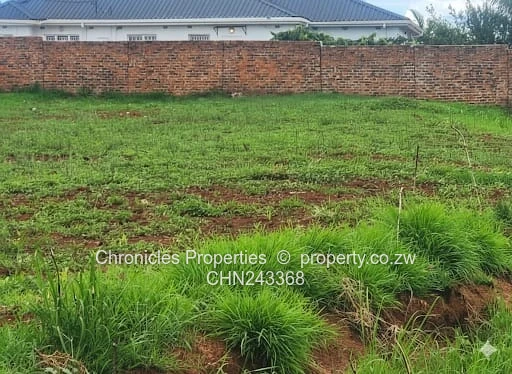 Hogerty Hill (Marydown) Stand For Sale