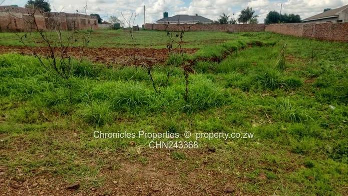 Hogerty Hill (Marydown) Stand For Sale